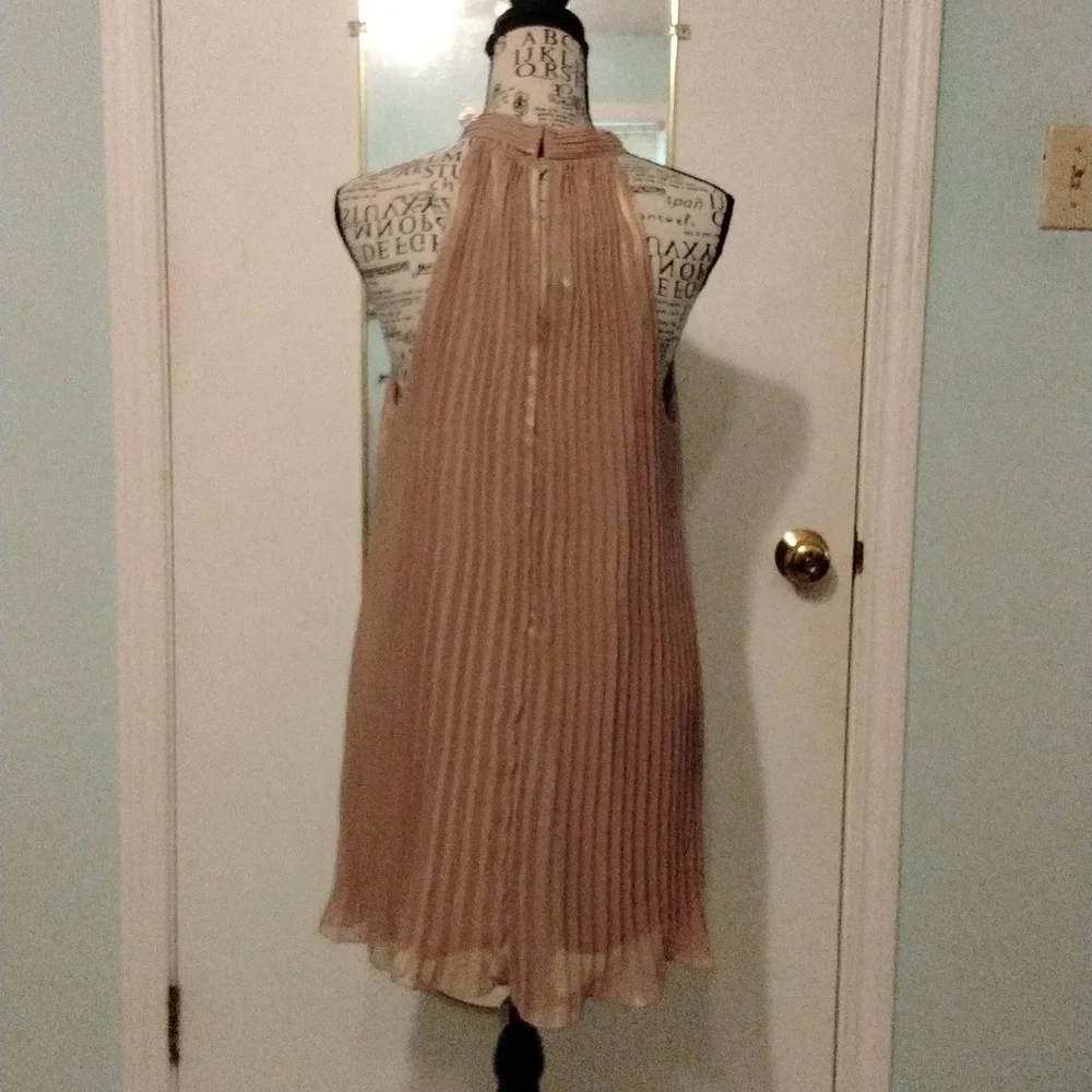Women's accordion pleat formal champagne top by Worthington size XL Like New - Picture 4 of 5